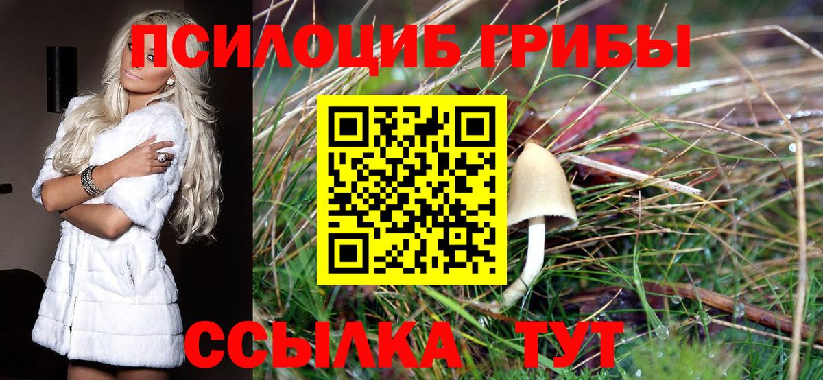 Псилоцибиновые грибы GOLDEN TEACHER Учалы