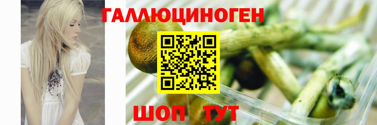 Учалы  Галлюциногенные грибы мицелий  Вход с VPN  Псилоцибиновые грибы Magic Shrooms 